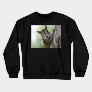 Staring Contest with a Squirrel Crewneck Sweatshirt